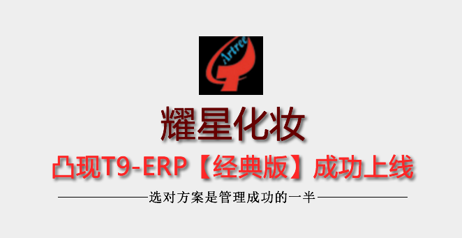 耀星化妝用品廠凸現(xiàn)T9-ERP成功上線