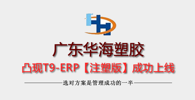 陽江華海塑膠制品有限公司上線凸現(xiàn)ERP